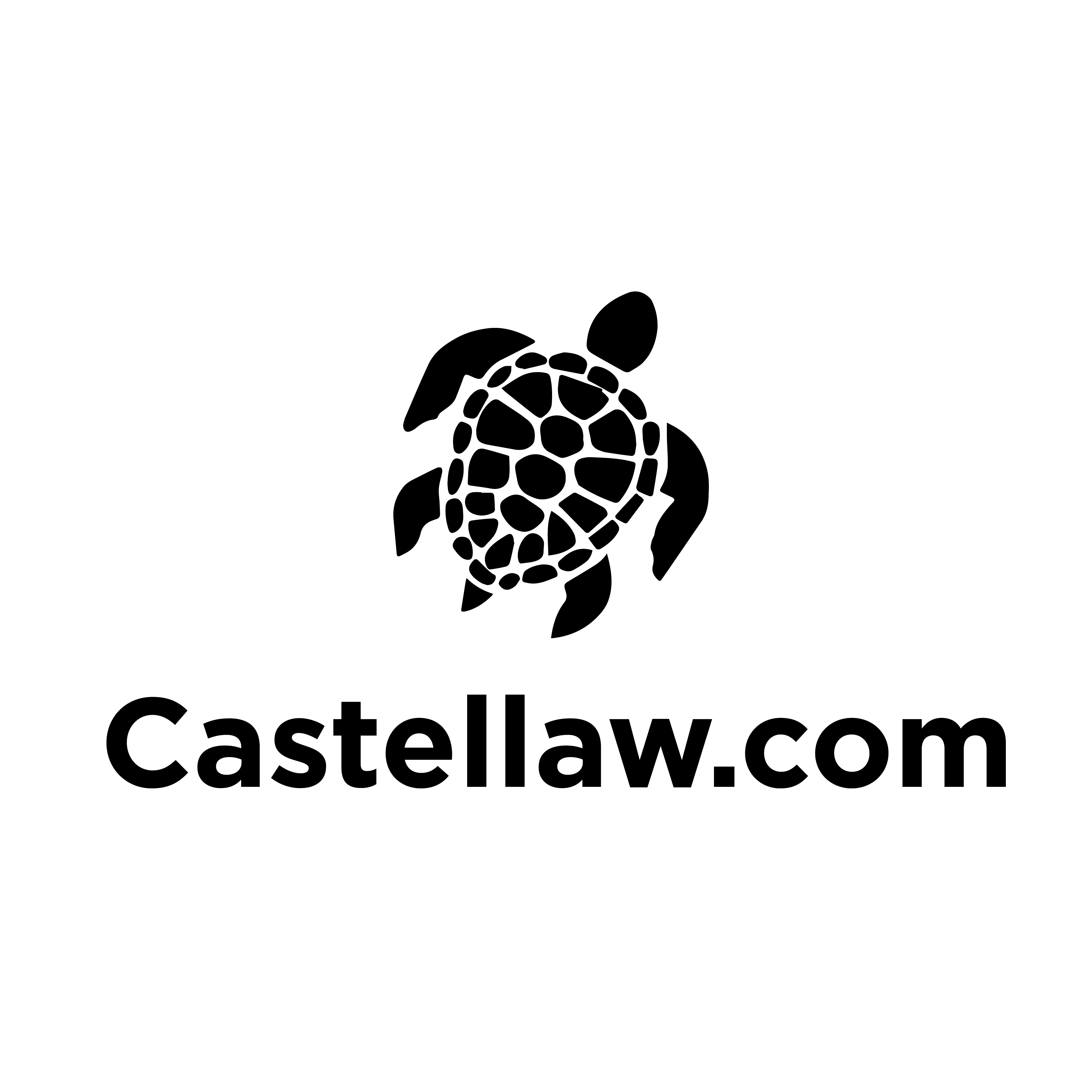 Image removed.